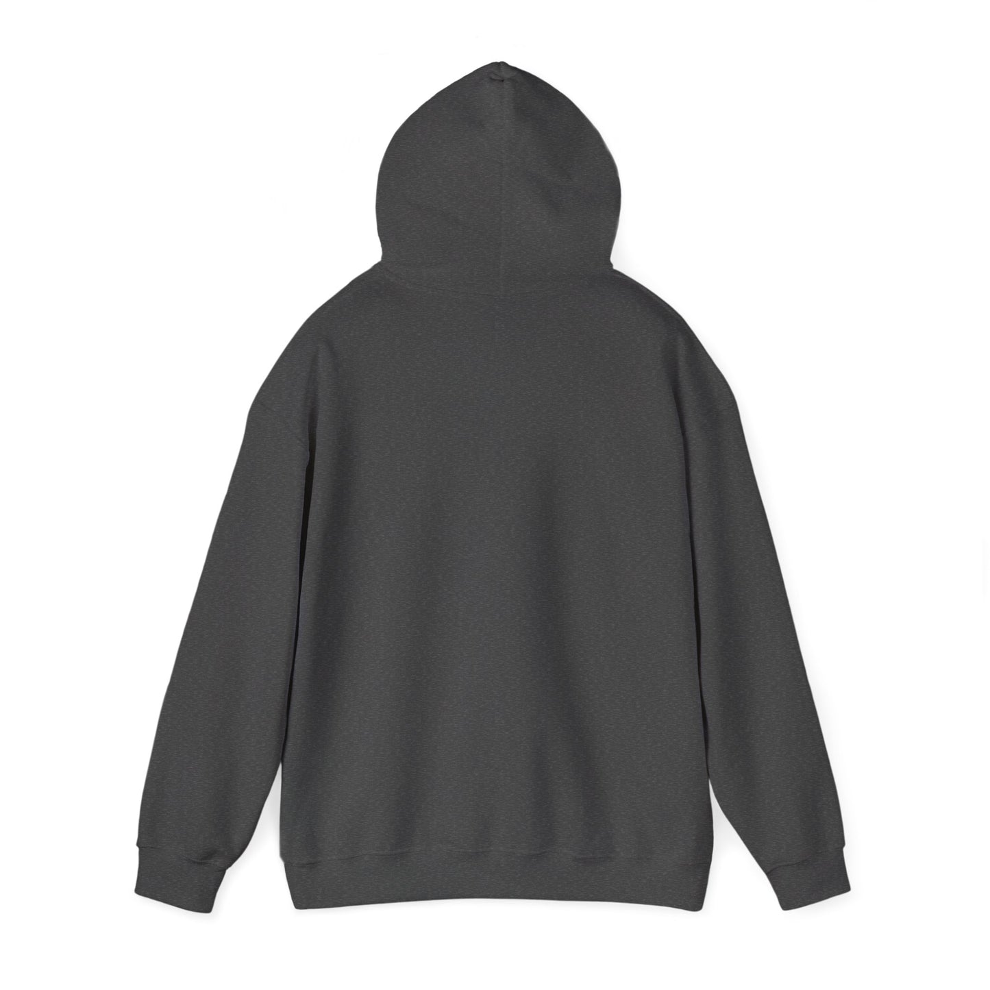 iWillcJoy Heavy Blend Hooded Skate Sweatshirt