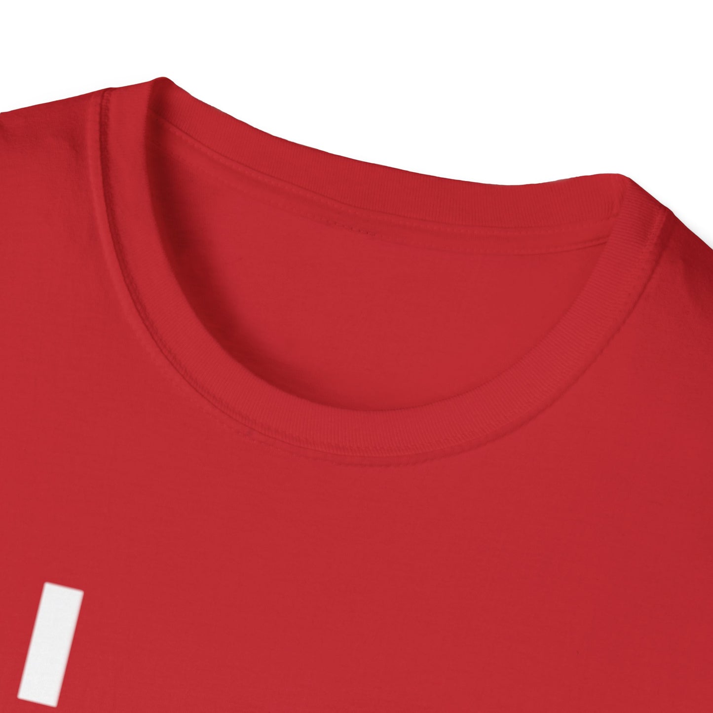 Inspirational Unisex Softstyle T-Shirt - I WILL C JOY IN ALL I DO Design